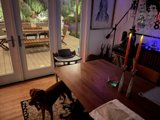 Cozy Corners and Canine Companions
