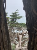 Nature's Window