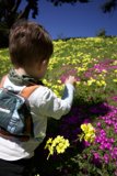 Sublime Serenity: Junior Botanist at Play