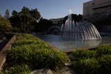 Serenity in the Park