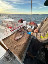 Commercial Fishing Boat Catch Processing at Sea