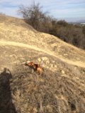 Alone on a Wilderness Adventure