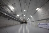 Journey Through the White Tunnel