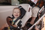 Joyful Journey: An Afternoon Stroll