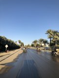 Rush Hour on the Highway