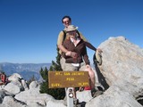 Couple Celebrates Summit of Mt. San Jacinto Peak