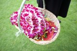 Serene Springtime Bouquet