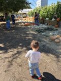 Autumn Adventures in Santa Rosa