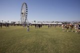 Sunny Festivities at Coachella 2024