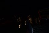 The Midnight Crowd