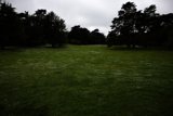 Serenity at San Francisco Botanical Garden