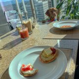 Brunch with Fido