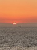 Serenity at Sunset