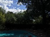 Summer Fun at the Altadena Resort