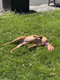 Lazy Summer Afternoon