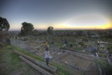 Sunset Stroll