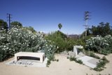 A Serene Oasis in the Desert