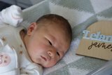 Welcome to the World, Leland