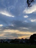 Golden Hour at Alamo Square