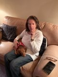 Comfort with a Canine Companion