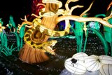Serpent Under the Stars
