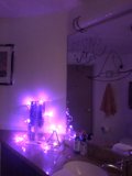 Purple Haze