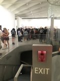 Museum Crowd