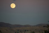 Moonlit Elegance Over Walnut Creek