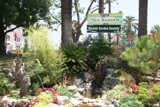 Tea Garden Oasis