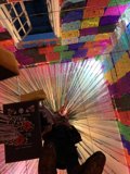 Colorful Umbrella Shade