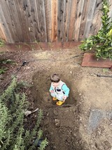 Young Child Playing in Backyard Garden Area