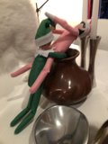 The Elf and his Feline Companion