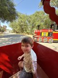 Joyride in Walnut Creek