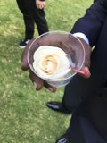 A Rose in His Cup