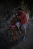 Summer Fun with Fido