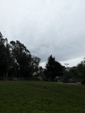 Serenity at the Park