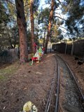 Train Track and Tree at Oakland Zoo