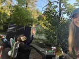 Playful Moments in the Wilderness