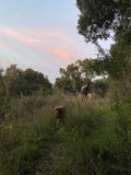 A Walk in the Country