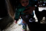 A Heartwarming Encounter at Half Moon Bay