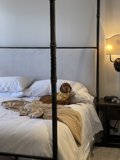Cozy Canine on a Canopy Bed