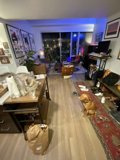 Furry Companion in a Stylish Living Room