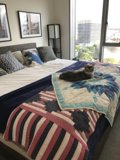Feline Sanctuary