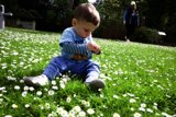 Blooming Adventures at San Francisco Botanical Garden