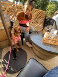 Potted Plants and Puppy Love