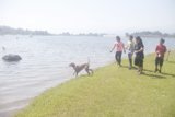 Lakeside Stroll