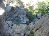 Majestic View of Canyon's Rocks and Trees