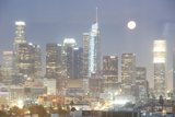 Moonlit Metropolis
