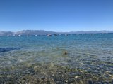Swimming in the Tranquil Waters of Zephyr Cove