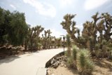 Desert Pathway Oasis